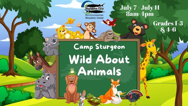 Wild About Animals