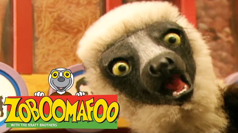 Zoboomafoo