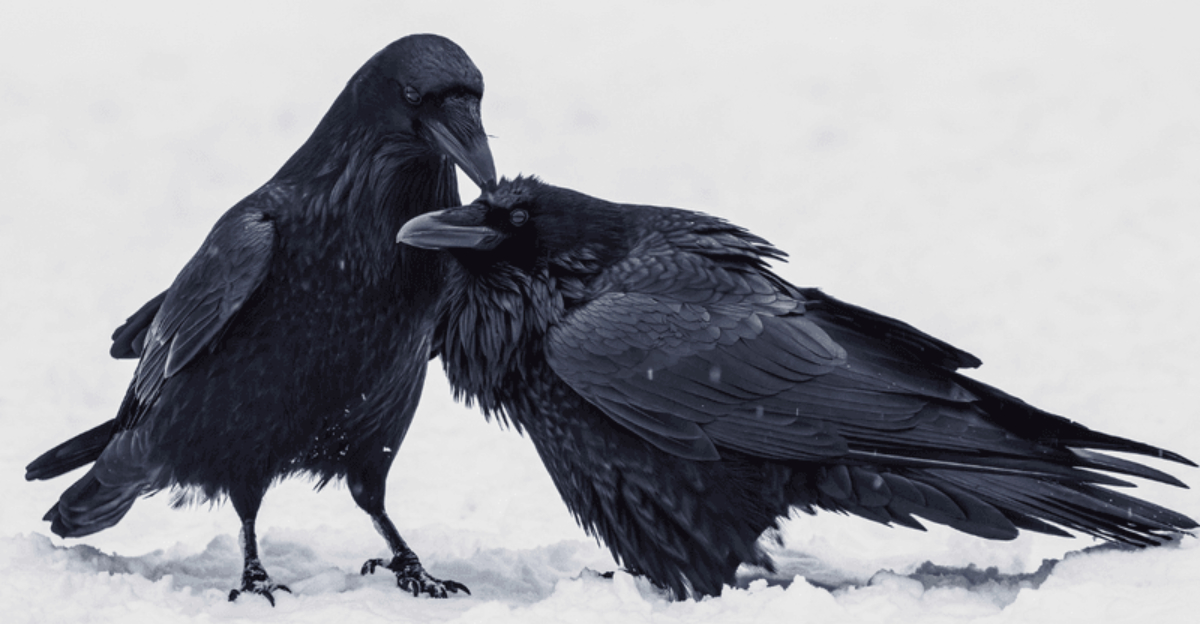 Animals Ruling Humans 20 Animals That Would Rule the World if Humans Became Instinct ...