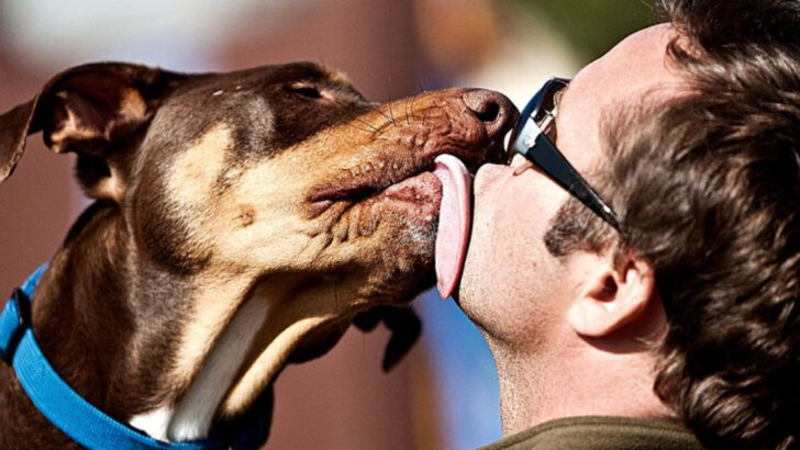 How to Tell If Your Dog Truly Loves You? 23 Signs to Watch For