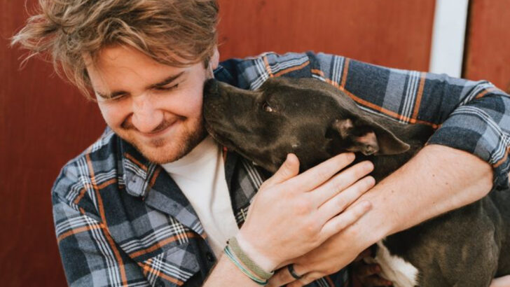 12 Ways Rescue Dogs Show Gratitude That Purebred Owners Never See