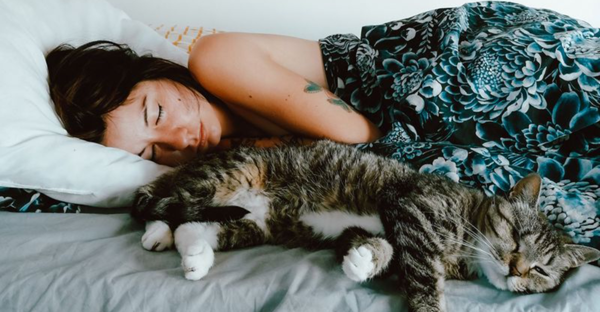 14 Nighttime Rituals That Strengthen Your Bond With Your Pet ...