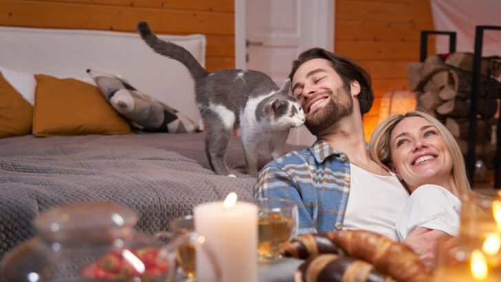 14 Ways Cats Manipulate Their Owners (And Don’t Even Feel Bad About It)