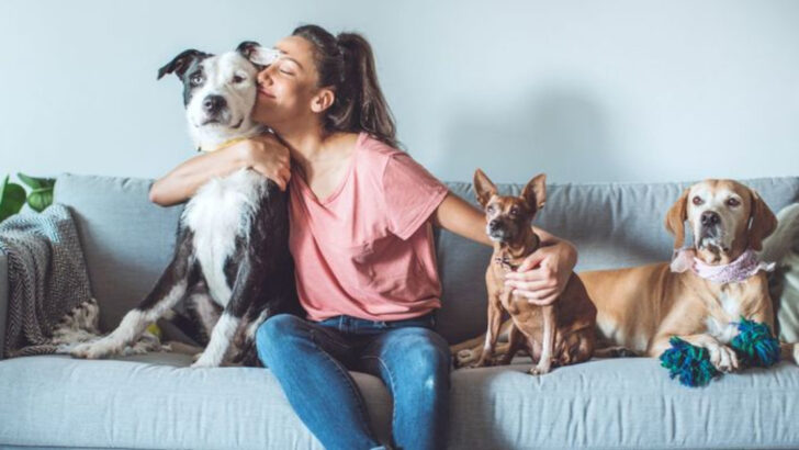 15 Eye-Opening Truths About Getting a Dog When You’re Not 100% Sure Yet