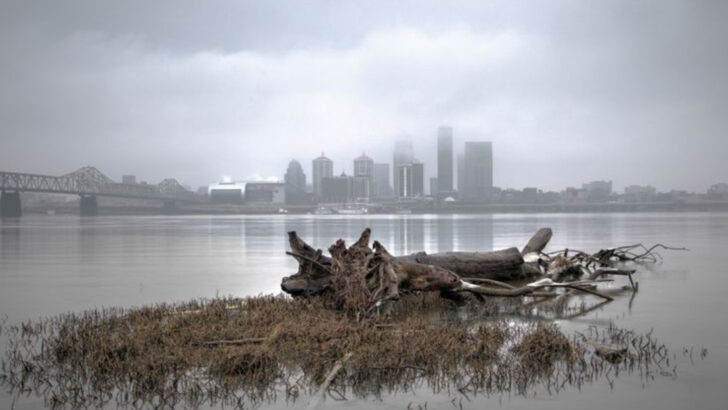 15 U.S. Rivers That Used to Be Full of Life—Now Barely Sustain Fish