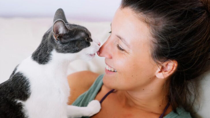 16 Cat Behaviors That Seem Rude—But Are Actually Signs of Affection