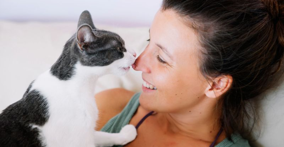 16 Cat Behaviors That Seem Rude—But Are Actually Signs of Affection ...