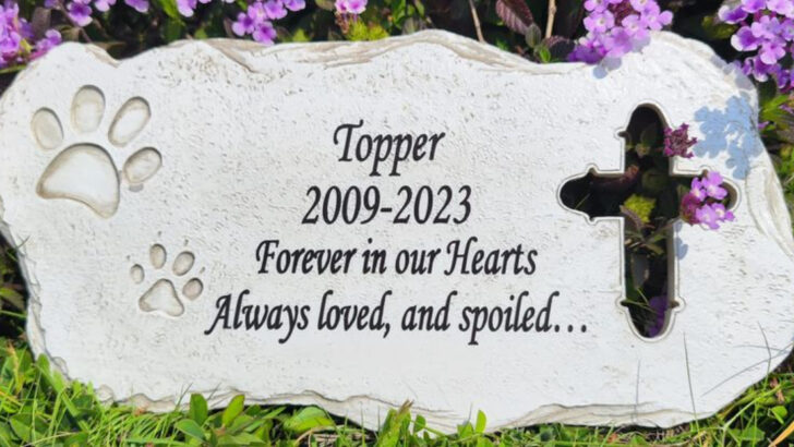 16 Meaningful Ways to Stay Connected to Your Dog After They’re Gone