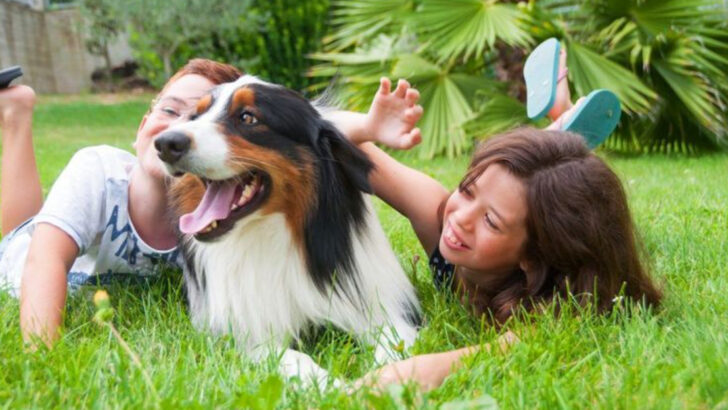 19 Dogs That Thrive on Chaos (And Why They’re Perfect for Messy Families)