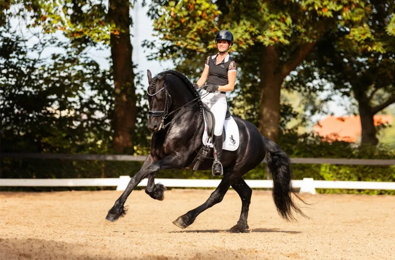 3. Graceful in Dressage