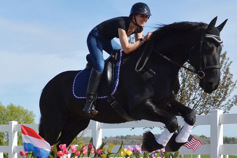 8. Versatile Equestrian Athletes
