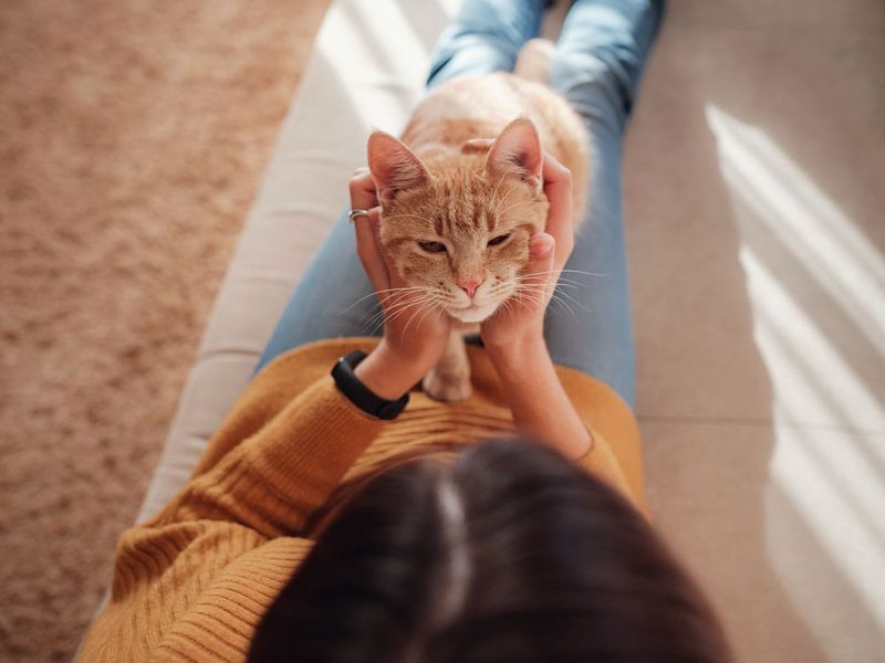 A Source of Unconditional Love