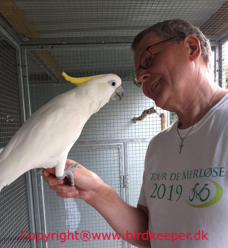 Affectionate Companions