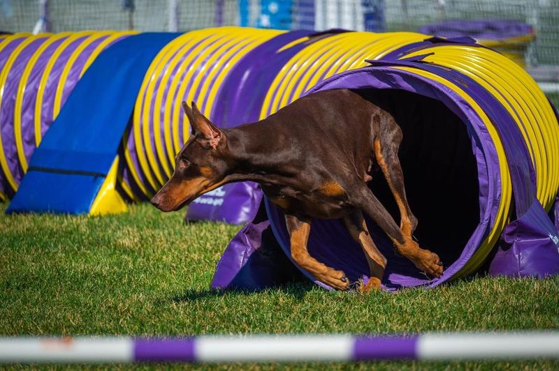 Agility and Performance