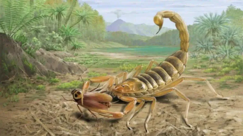 Ancient Survivors