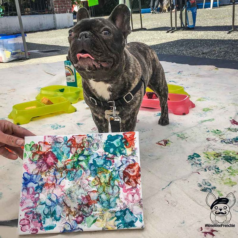 Artistic Paw Painting