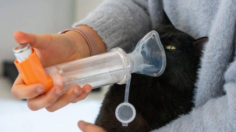 Asthma