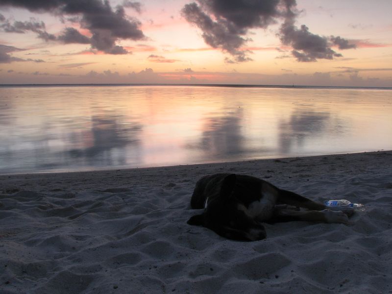 At Beaches