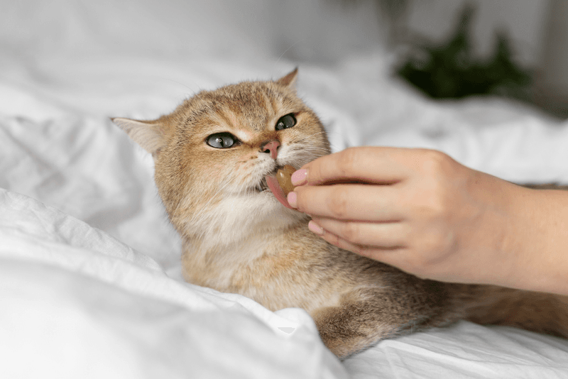 Avoiding Allergens
