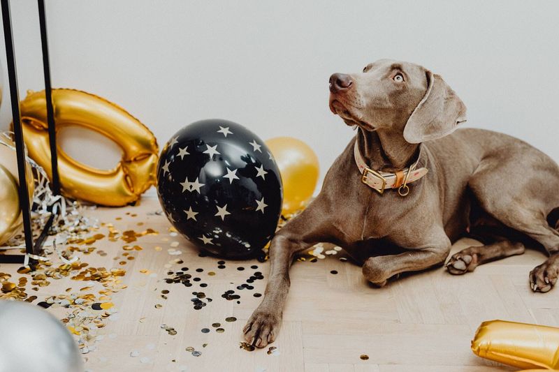 Balloons