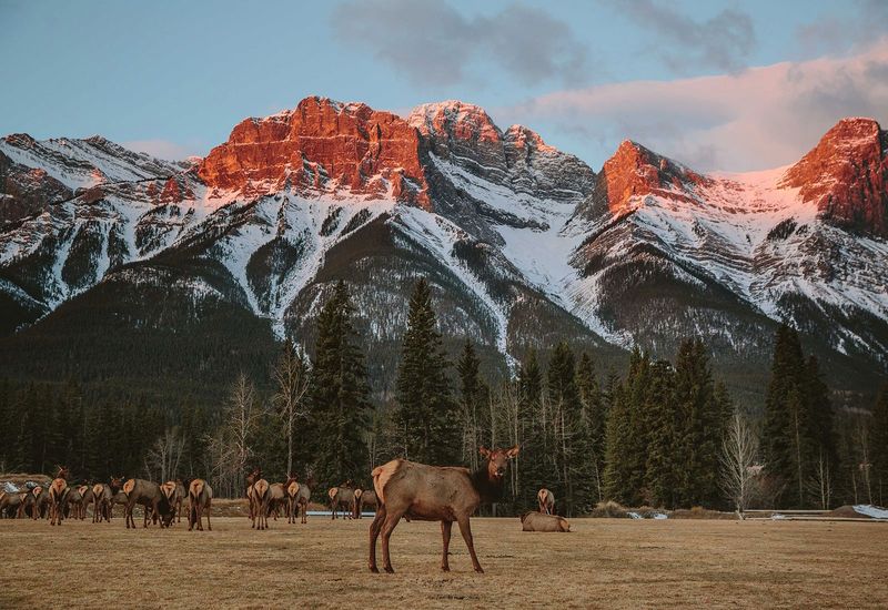 Banff National Park