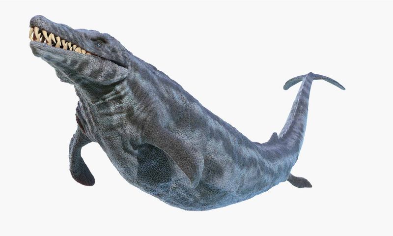 Basilosaurus
