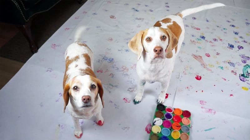 Beagle's Unexpected Artistic Flair