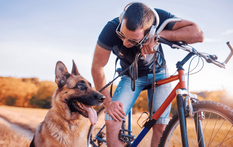 Bicycles