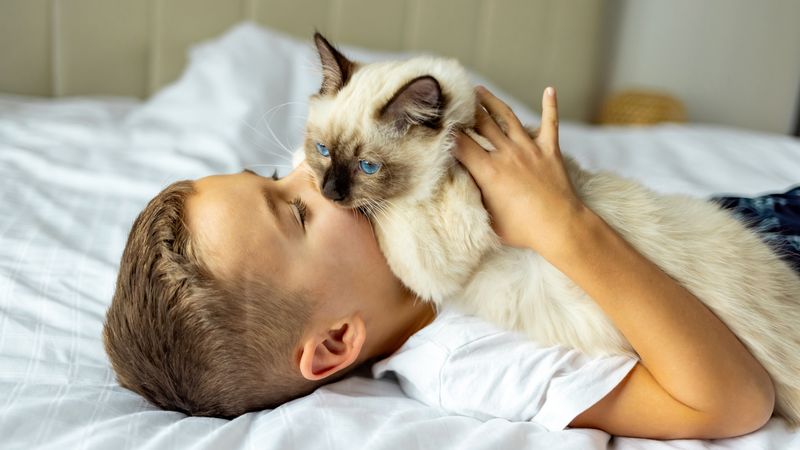 Birman