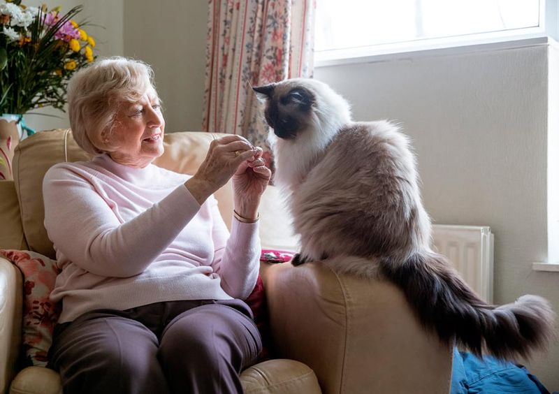 Birman
