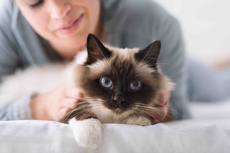 Birman