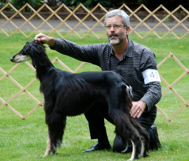 Breeding Programs