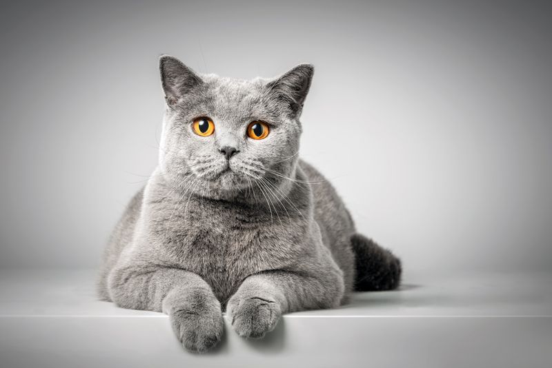 Calm Personality