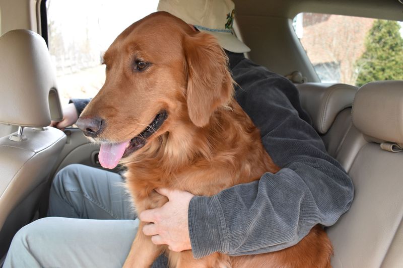Car Rides