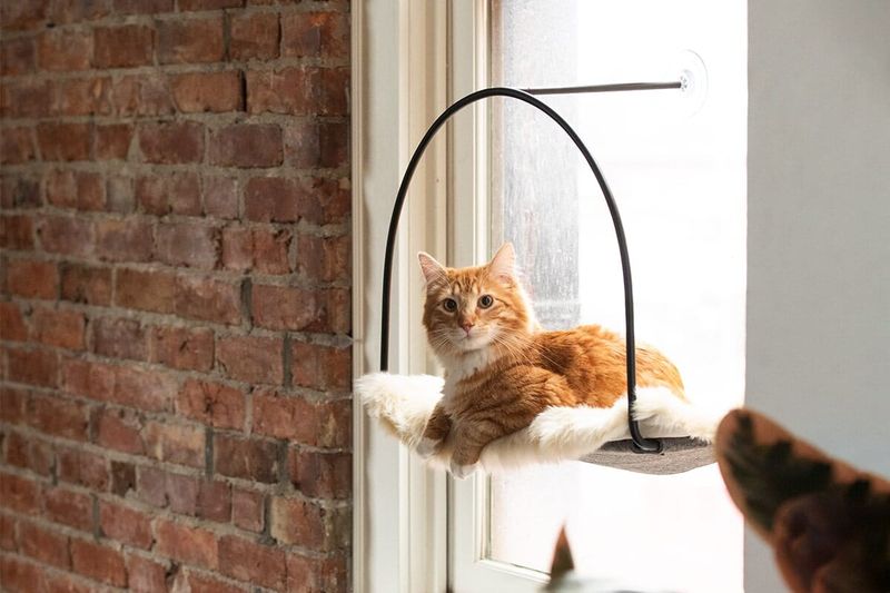 Cat Cloud Window Hammock