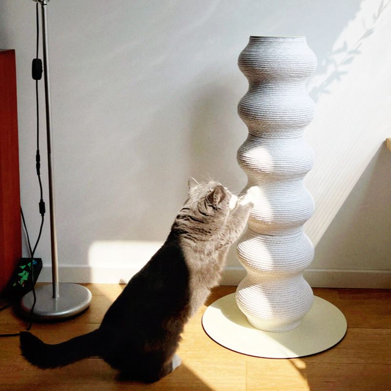Cat Scratcher Lounge