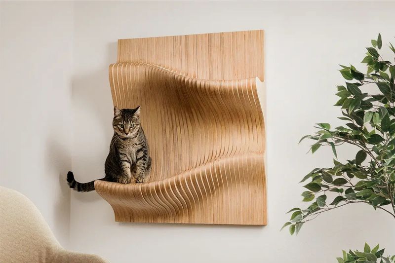 Cat Wall Shelves