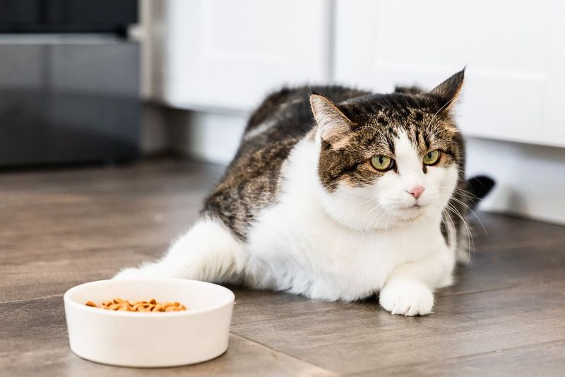 Changes in Appetite