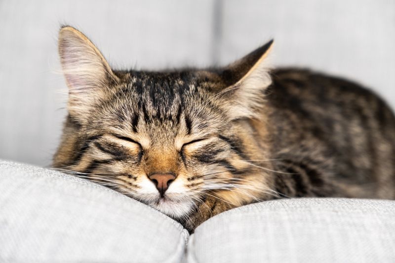 Changes in Sleeping Patterns