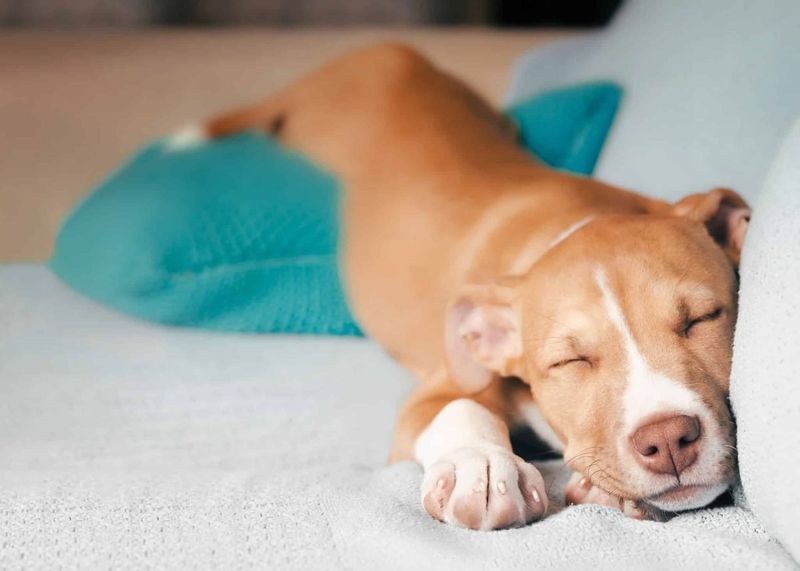 Changes in Sleeping Patterns