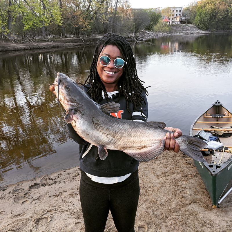 Channel Catfish