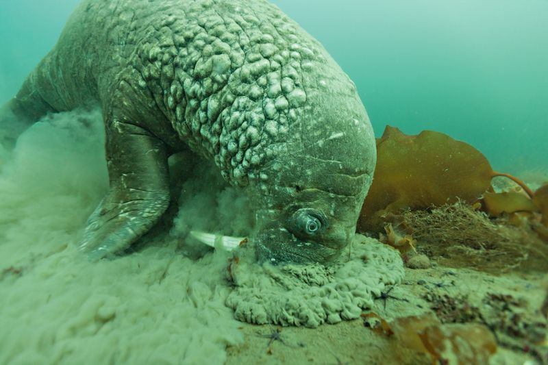 Clam Connoisseurs