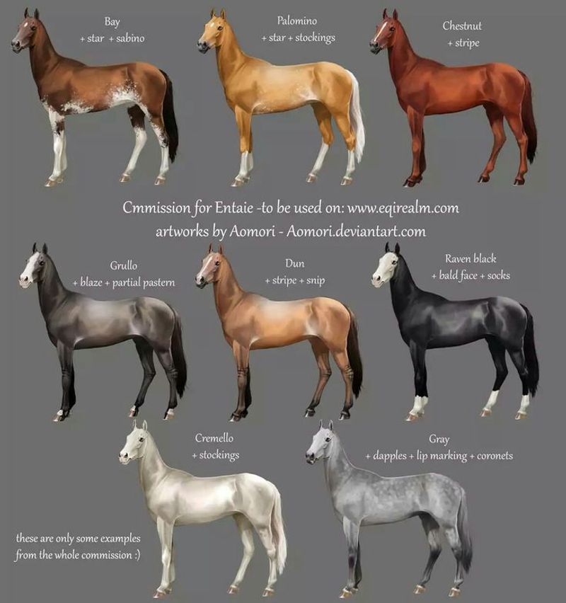 Color Variations