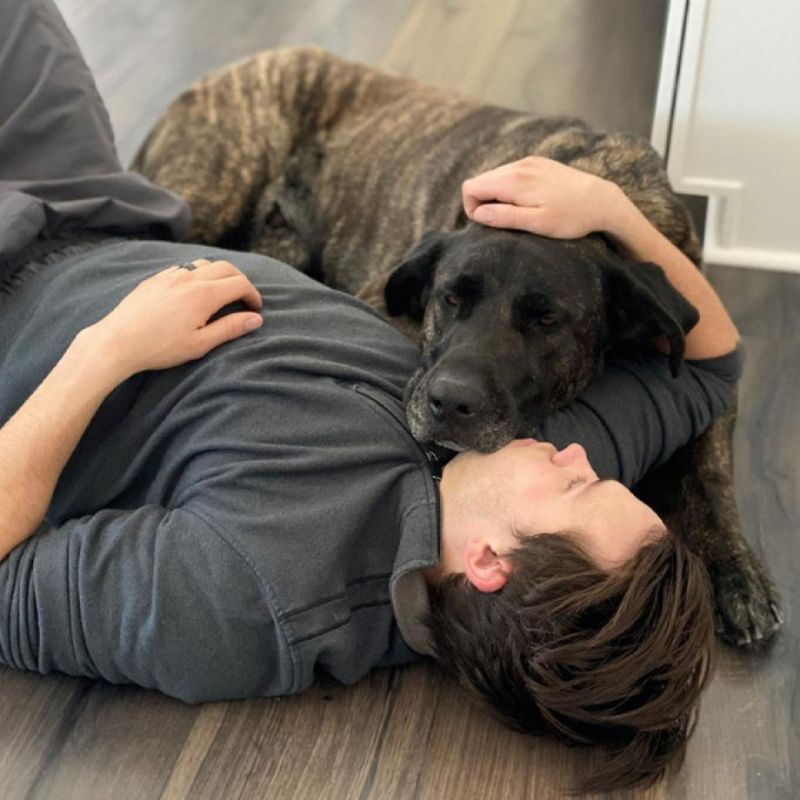 Comforting Presence
