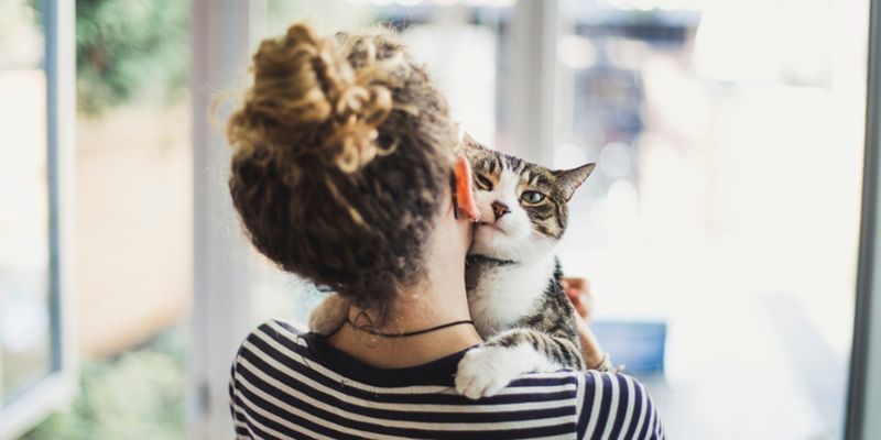 Companionship like No Other