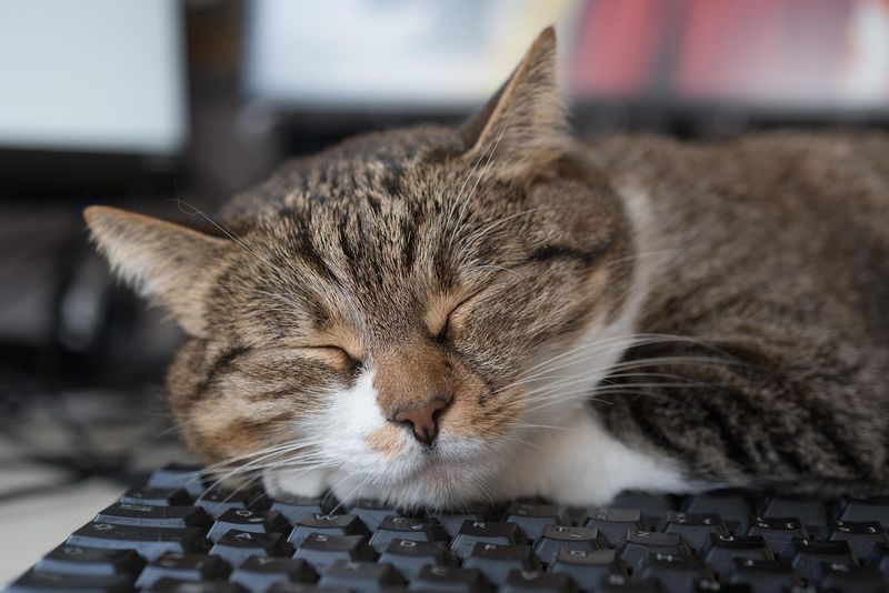Computer Keyboard Comfort