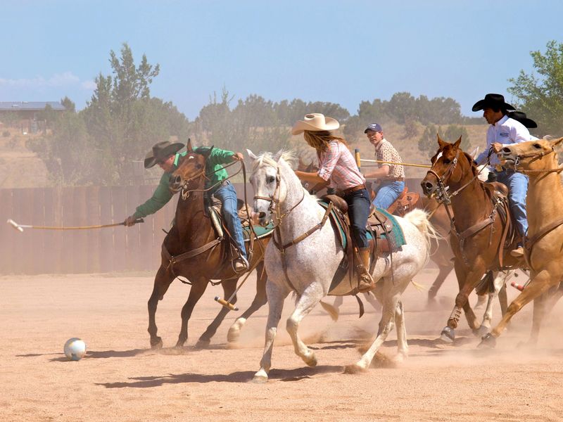 Cowboy Polo