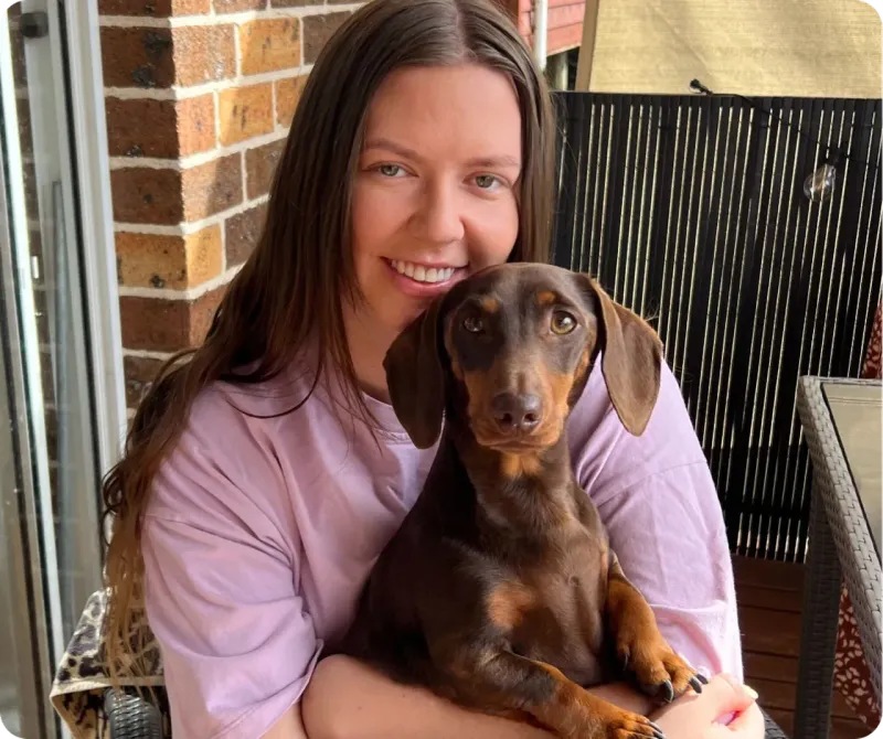 Dachshund