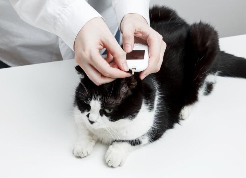 Diabetes Mellitus