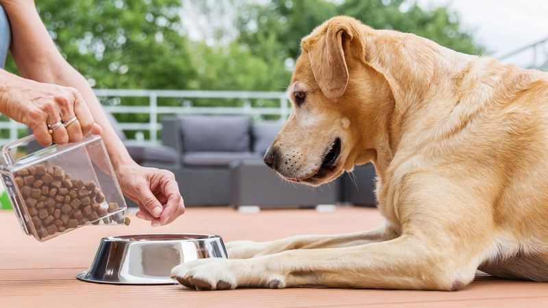 Diet and Feeding Habits